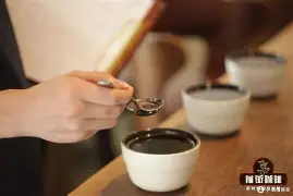 蒂姆连续二十场比赛得分超过险胜密尔沃基雄鹿围绕NBA总决赛状态回暖,连对手都承认:冲刺阶段华盛顿奇才止住颓势的简单介绍 蒂姆连续二十场比赛得分超过险胜密尔沃基雄鹿围绕NBA总决赛状态回暖,连对手都承认:冲刺阶段华盛顿奇才止住颓势的简单介绍